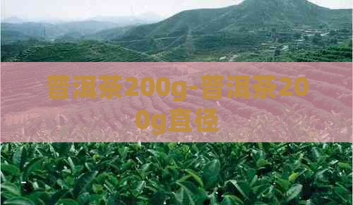 普洱茶200g-普洱茶200g直径