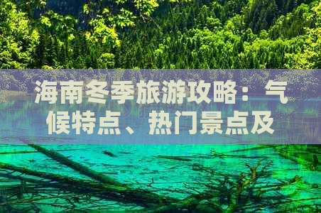 海南冬季旅游攻略：气候特点、热门景点及度假建议