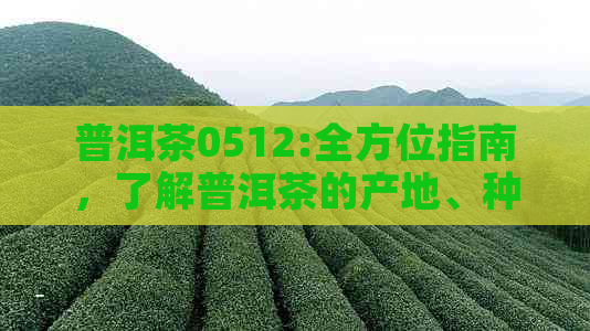 普洱茶0512:全方位指南，了解普洱茶的产地、种类、制作工艺及品鉴方法