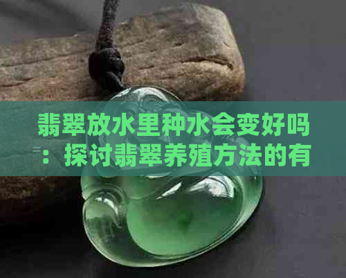 翡翠放水里种水会变好吗：探讨翡翠养殖方法的有效性