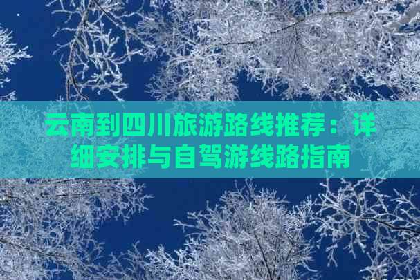 云南到四川旅游路线推荐：详细安排与自驾游线路指南