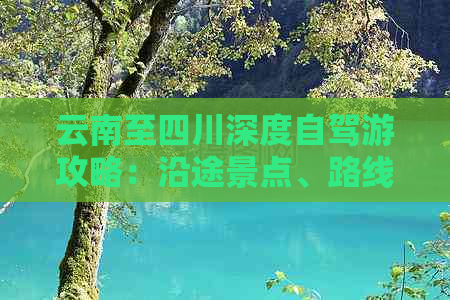 云南至四川深度自驾游攻略：沿途景点、路线规划与旅行必备指南