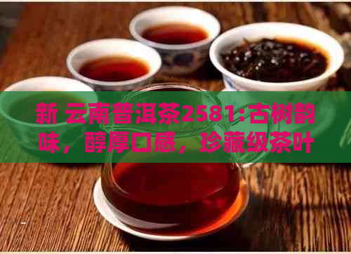 新 云南普洱茶2581:古树韵味，醇厚口感，珍藏级茶叶