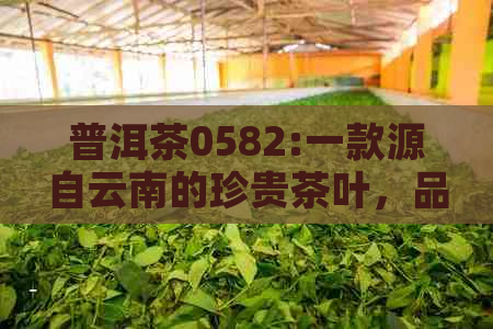 普洱茶0582:一款源自云南的珍贵茶叶，品味千年古树的独特风味