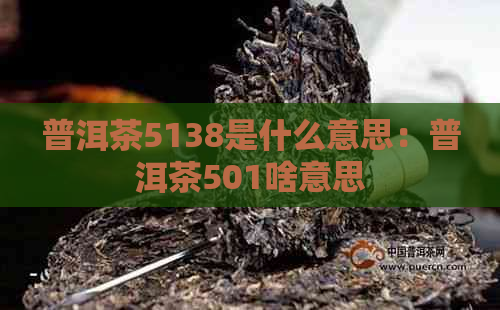 普洱茶5138是什么意思：普洱茶501啥意思