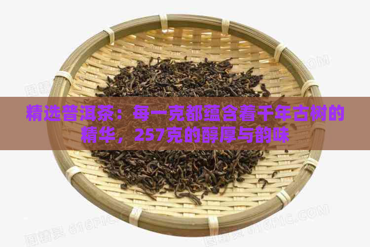 精选普洱茶：每一克都蕴含着千年古树的精华，257克的醇厚与韵味