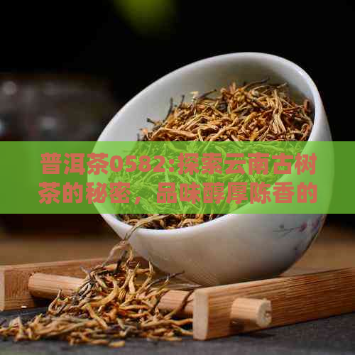 普洱茶0582:探索云南古树茶的秘密，品味醇厚陈香的魅力