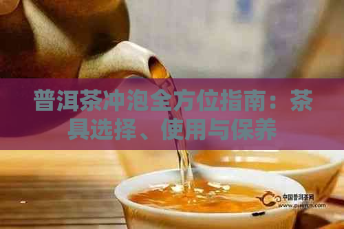 普洱茶冲泡全方位指南：茶具选择、使用与保养