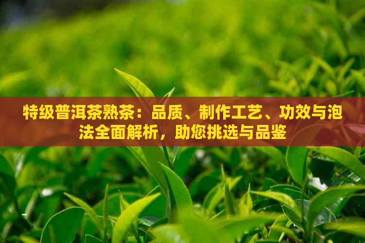 特级普洱茶熟茶：品质、制作工艺、功效与泡法全面解析，助您挑选与品鉴