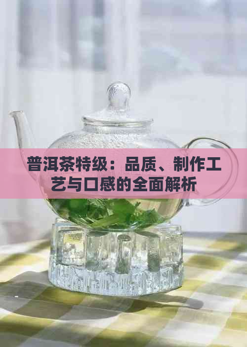 普洱茶特级：品质、制作工艺与口感的全面解析