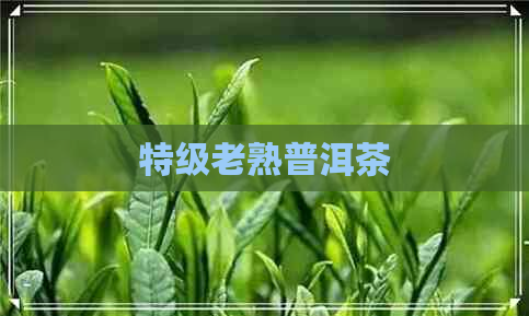 特级老熟普洱茶