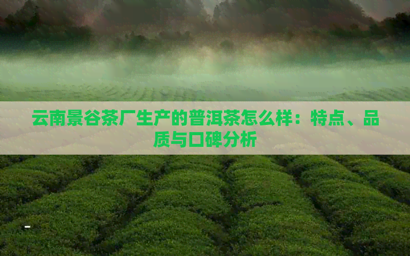 云南景谷茶厂生产的普洱茶怎么样：特点、品质与口碑分析