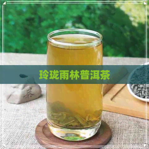 玲珑雨林普洱茶