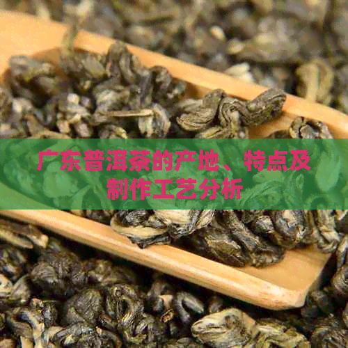 广东普洱茶的产地、特点及制作工艺分析