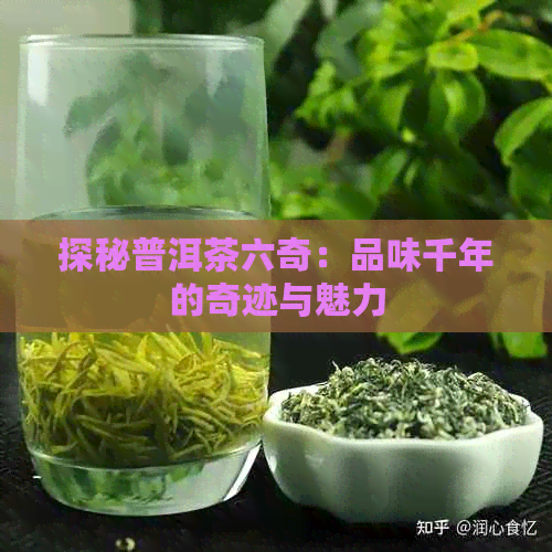 探秘普洱茶六奇：品味千年的奇迹与魅力