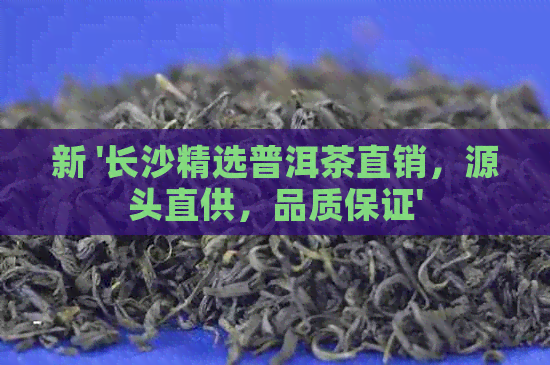 新 '长沙精选普洱茶直销，源头直供，品质保证'