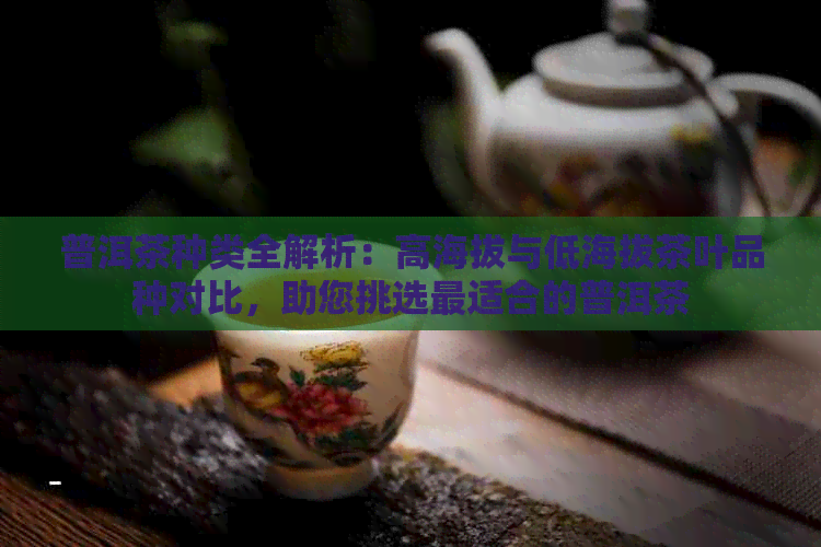 普洱茶种类全解析：高海拔与低海拔茶叶品种对比，助您挑选最适合的普洱茶