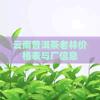 云南普洱茶老林价格表与厂信息