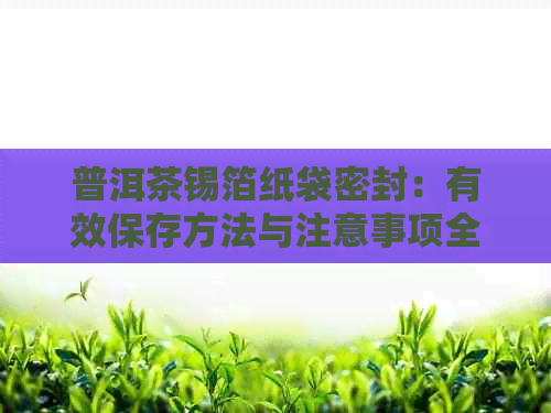 普洱茶锡箔纸袋密封：有效保存方法与注意事项全解析