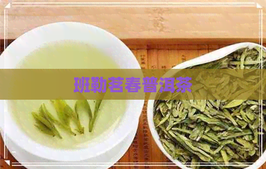 班勒茗春普洱茶