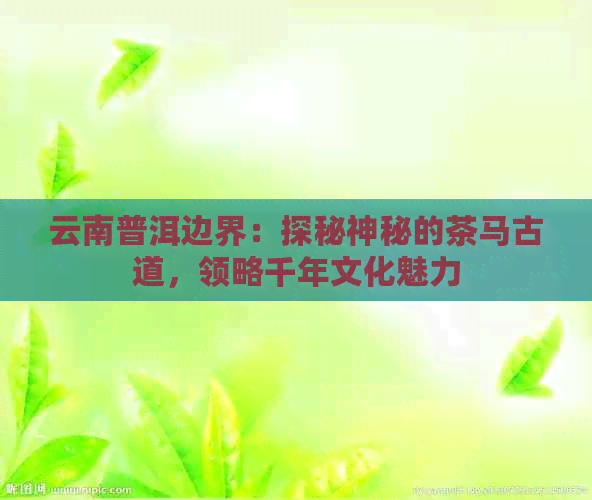 云南普洱边界：探秘神秘的茶马古道，领略千年文化魅力