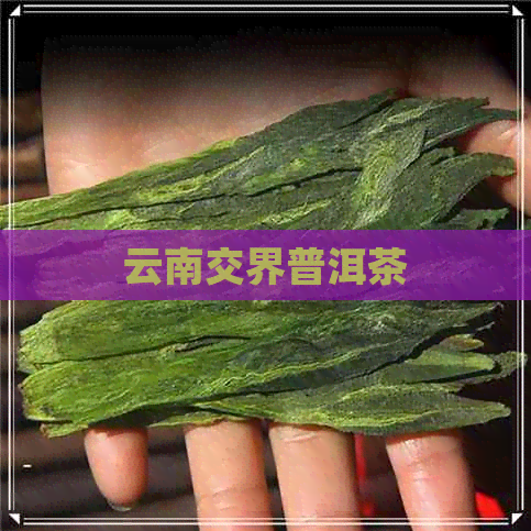 云南交界普洱茶