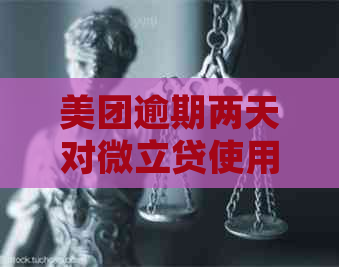 美团逾期两天对微立贷使用的影响：详细解释及可能解决方法