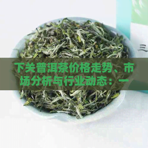 下关普洱茶价格走势、市场分析与行业动态：一站式查询平台