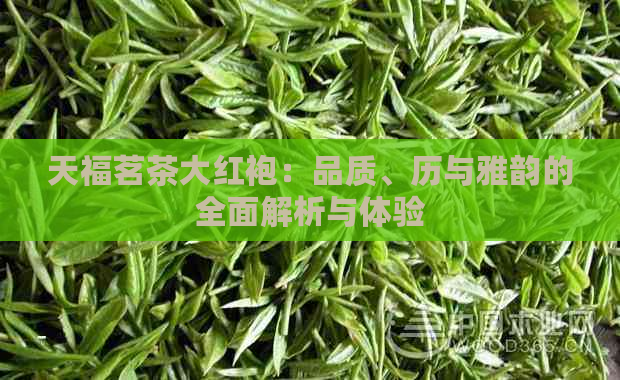 天福茗茶大红袍：品质、历与雅韵的全面解析与体验