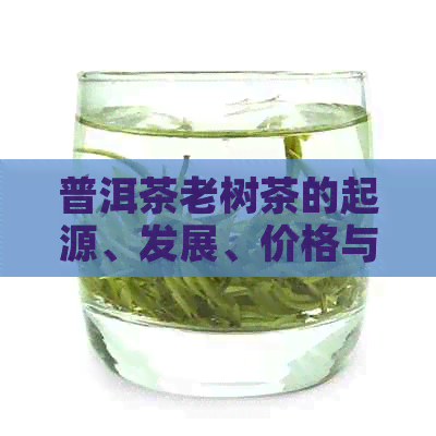 普洱茶老树茶的起源、发展、价格与区别：探讨其优于人工种植的关键因素