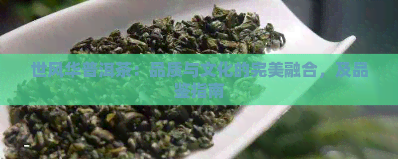 世风华普洱茶：品质与文化的完美融合，及品鉴指南