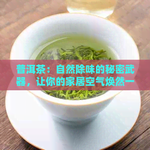 普洱茶：自然除味的秘密武器，让你的家居空气焕然一新