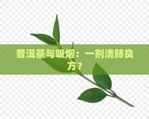 普洱茶与吸烟：一剂清肺良方？