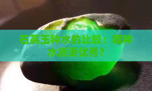 石英玉种水的比较：哪种水质更优秀？