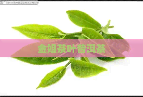 金姐茶叶普洱茶