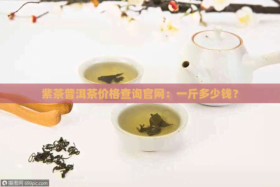 紫茶普洱茶价格查询官网：一斤多少钱？