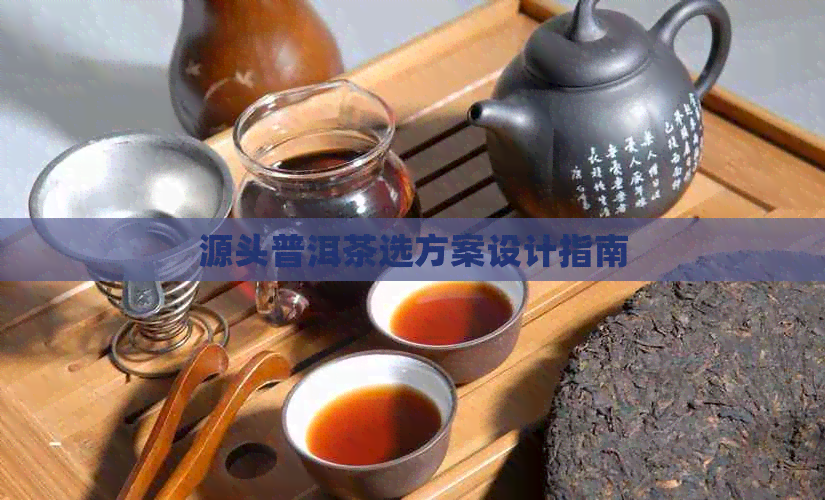 源头普洱茶选方案设计指南