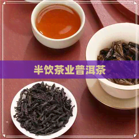 半饮茶业普洱茶