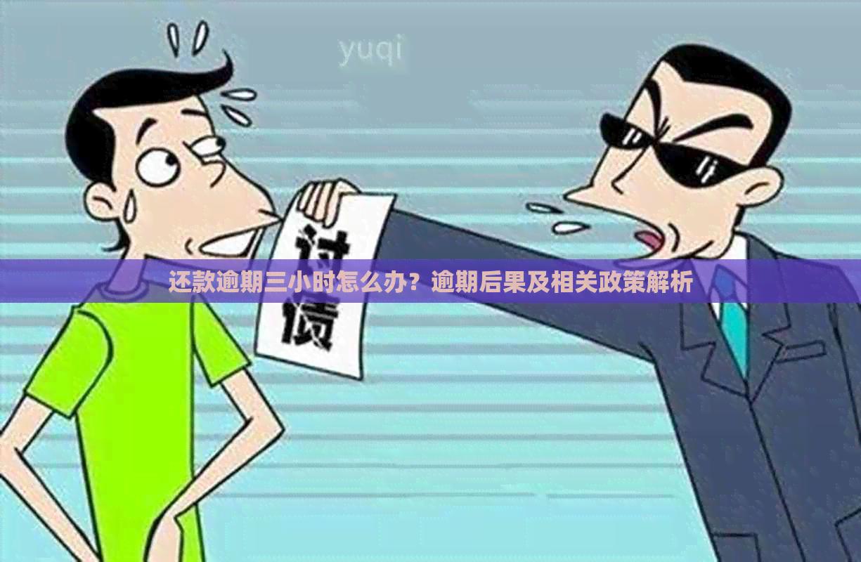 还款逾期三小时怎么办？逾期后果及相关政策解析