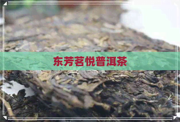 东芳茗悦普洱茶