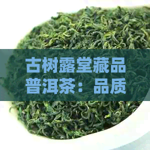 古树露堂藏品普洱茶：品质越，历悠久