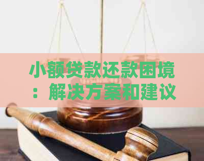 小额贷款还款困境：解决方案和建议