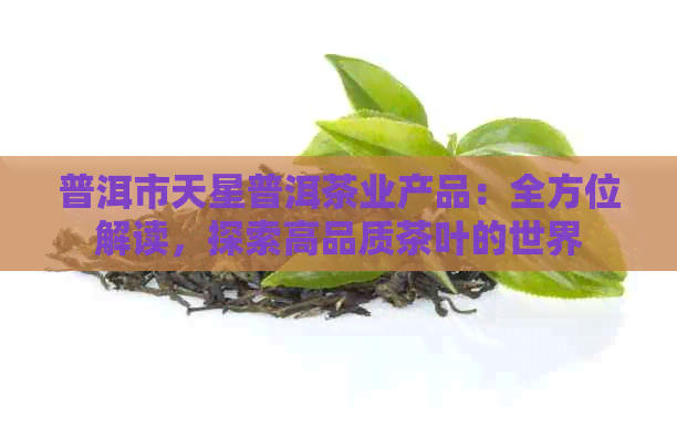 普洱市天星普洱茶业产品：全方位解读，探索高品质茶叶的世界