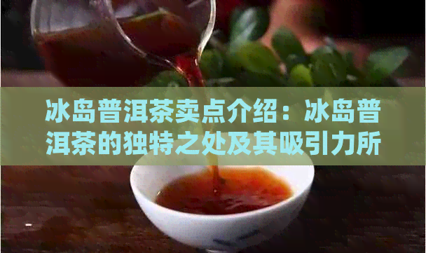 冰岛普洱茶卖点介绍：冰岛普洱茶的独特之处及其吸引力所在。