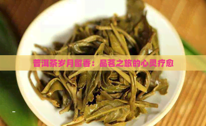 普洱茶岁月留香：品茗之旅的心灵疗愈