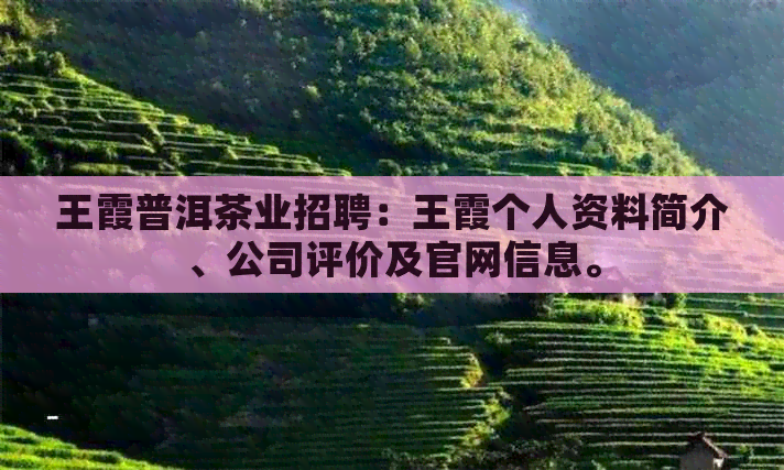 王霞普洱茶业招聘：王霞个人资料简介、公司评价及官网信息。