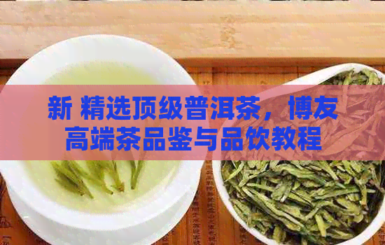 新 精选顶级普洱茶，博友高端茶品鉴与品饮教程