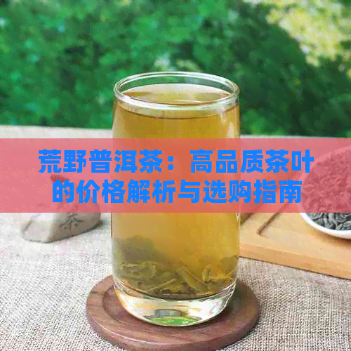 荒野普洱茶：高品质茶叶的价格解析与选购指南