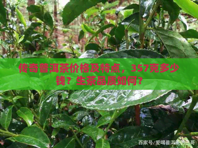 传奇普洱茶价格及特点，357克多少钱？生茶品质如何？