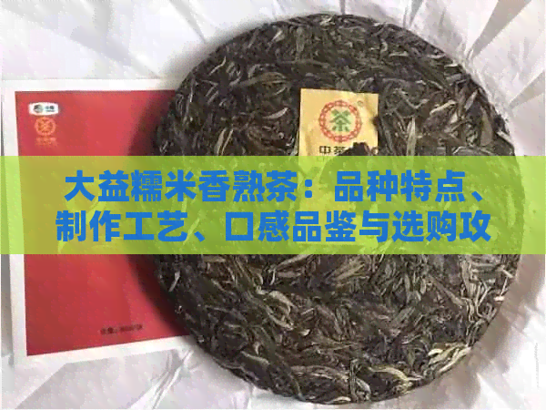 大益糯米香熟茶：品种特点、制作工艺、口感品鉴与选购攻略的全面解答